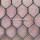 25mmx1mx45m Hexagonal Wire Mesh For Coop